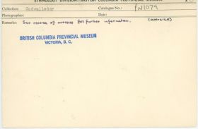 Image representing photograph.