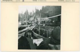 Image representing photograph.