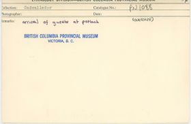 Image representing photograph.