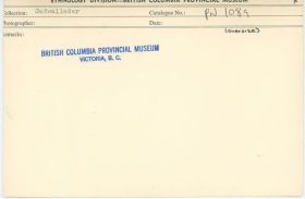 Image representing photograph.