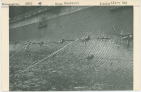 Image representing photograph.