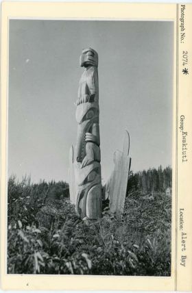 Image representing photograph.