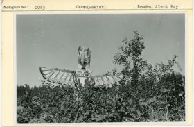 Image representing photograph.