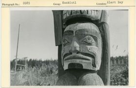 Image representing photograph.