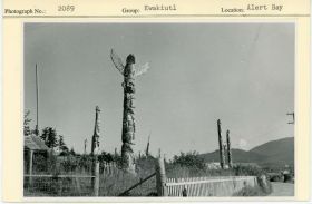 Image representing photograph.