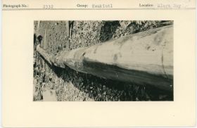 Image representing photograph.