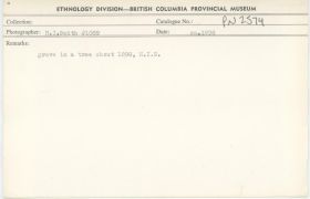 Image representing photograph.