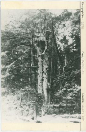 Image representing photograph.