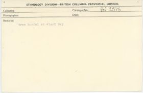 Image representing photograph.