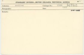 Image representing photograph.