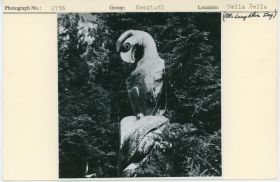 Image representing photograph.