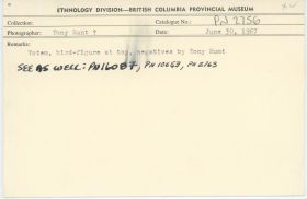 Image representing photograph.