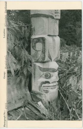 Image representing photograph.