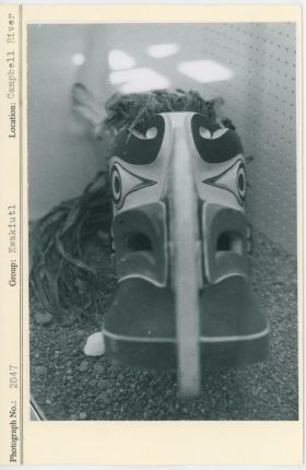 Image representing photograph.