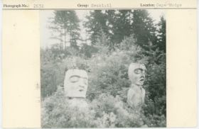 Image representing photograph.