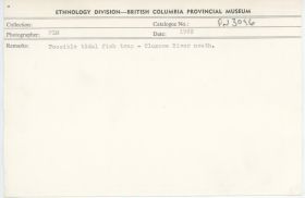 Image representing photograph.