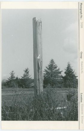 Image representing photograph.