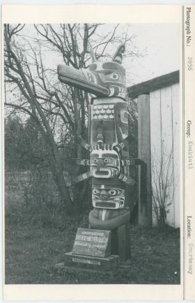 Image representing photograph.