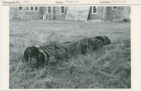 Image representing photograph.