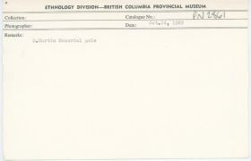 Image representing photograph.