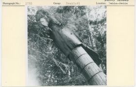 Image representing photograph.