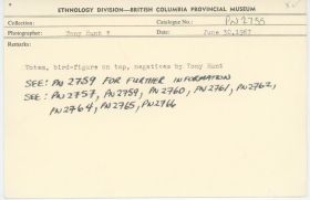 Image representing photograph.