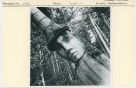 Image representing photograph.