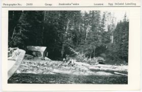 Image representing photograph.