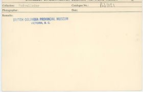 Image representing photograph.