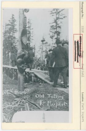 Image representing photograph.