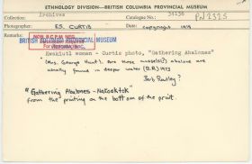 Image representing photograph.