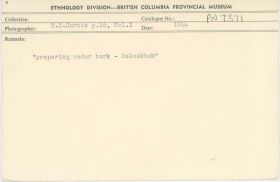 Image representing photograph.