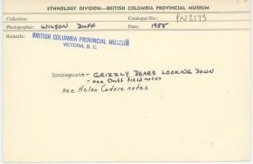 Image representing photograph.