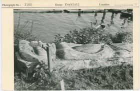 Image representing photograph.