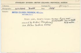 Image representing photograph.