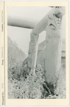 Image representing photograph.