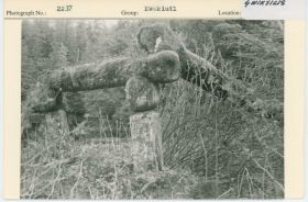 Image representing photograph.