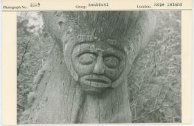 Image representing photograph.