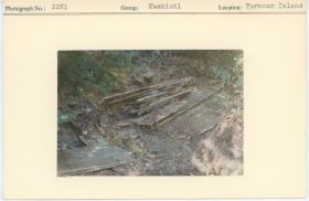 Image representing photograph.