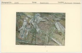 Image representing photograph.