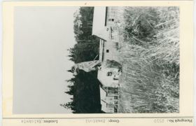 Image representing photograph.