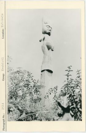 Image representing photograph.