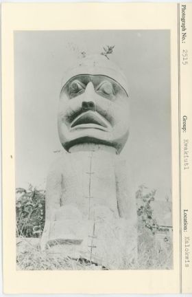 Image representing photograph.