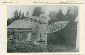 Image representing photograph.