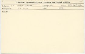 Image representing photograph.