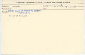 Image representing photograph.