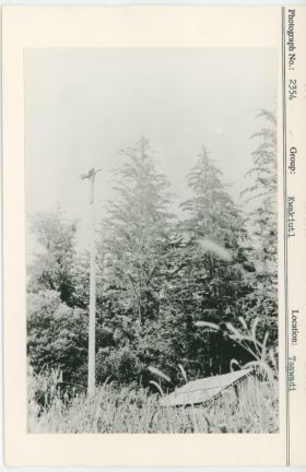 Image representing photograph.