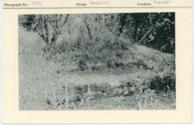 Image representing photograph.