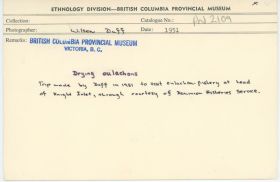 Image representing photograph.