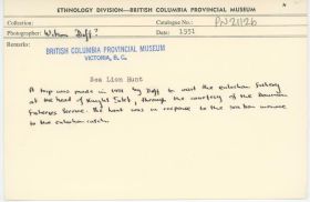 Image representing photograph.